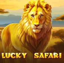 Slot Game 31